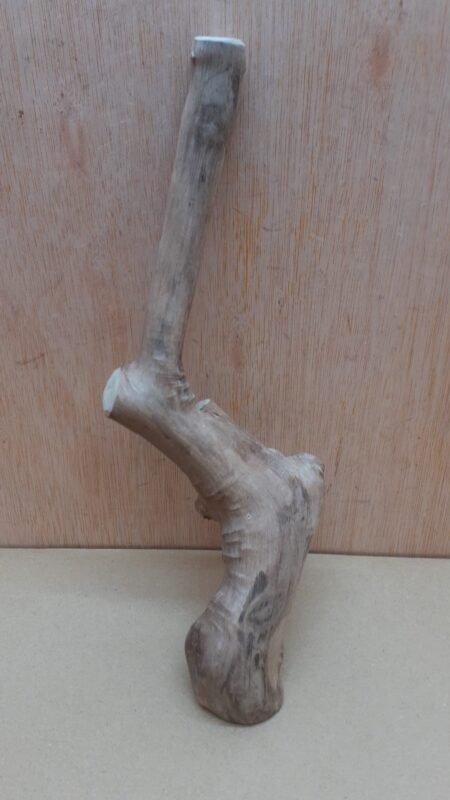 Java Wood - Single Stem - Small 9