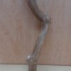 Java Wood - Single Stem - Small 10