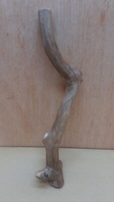 Java Wood - Single Stem - Small 10