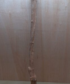 Straight Liana 4-5cm - Long - 2