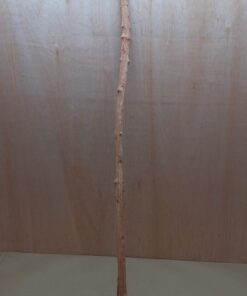 Straight Liana 2-3cm - Long - 6