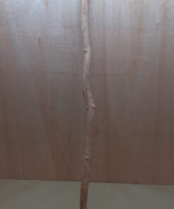 Straight Liana 2-3cm - Long - 10