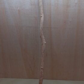 Straight Liana 2-3cm - Long - 10