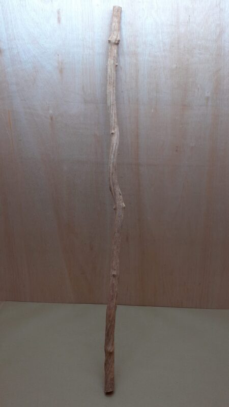 Straight Liana 2-3cm - Long - 10