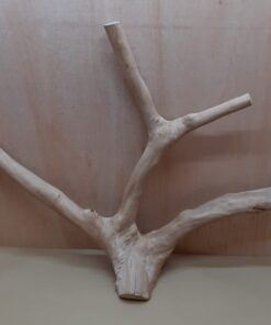 Java Wood - Double Stem - XL 3