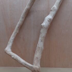 Java Wood - Double Stem - XL 10