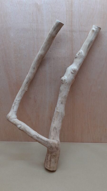 Java Wood - Double Stem - XL 10