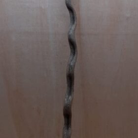 Monkey Ladder Liana - Long - 1