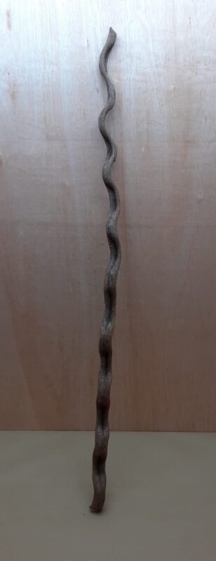 Monkey Ladder Liana - Long - 1