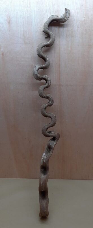 Monkey Ladder Liana - Long - 9