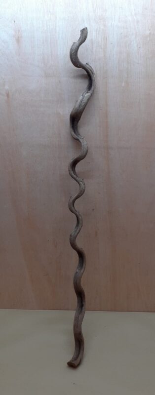 Monkey Ladder Liana - Long - 10