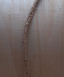 Straight Liana 4-5cm - Long - 1