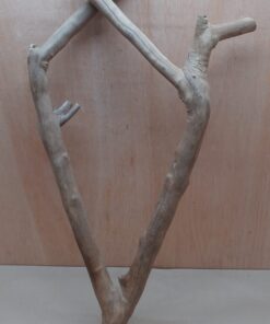 Java Wood - Double Stem - XL 1