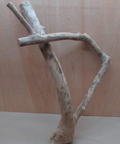 Java Wood - Double Stem - XL 2
