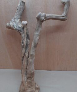 Java Wood - Double Stem - XL 3