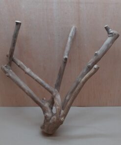 Java Wood - Double Stem - XL 4
