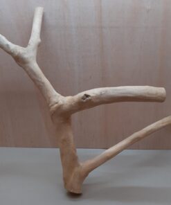 Java Wood - Double Stem - XL 6