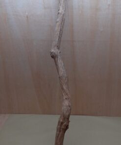 Straight Liana 4-5cm - Long - 10
