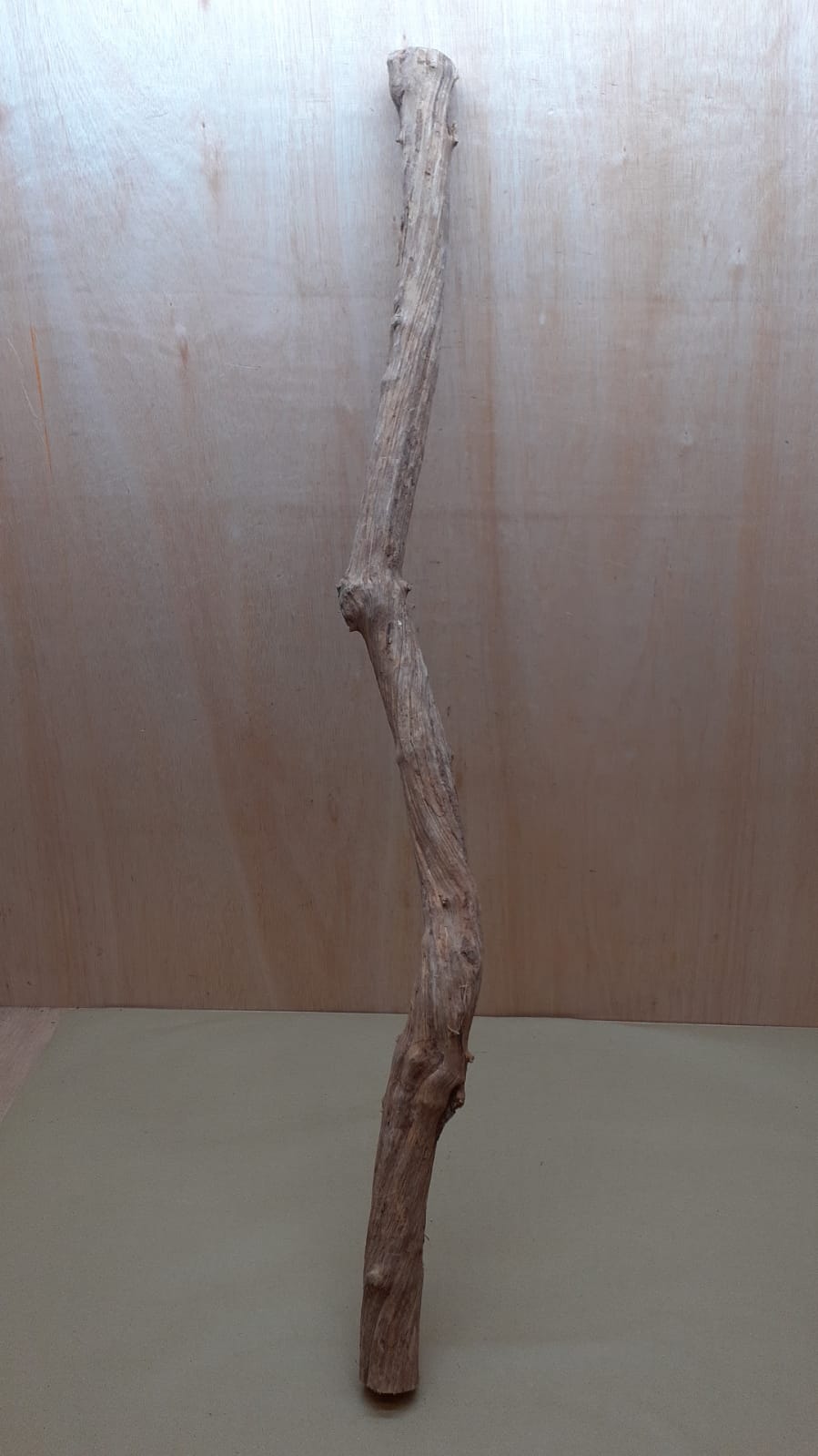 Straight Liana 4-5cm - Long - 10