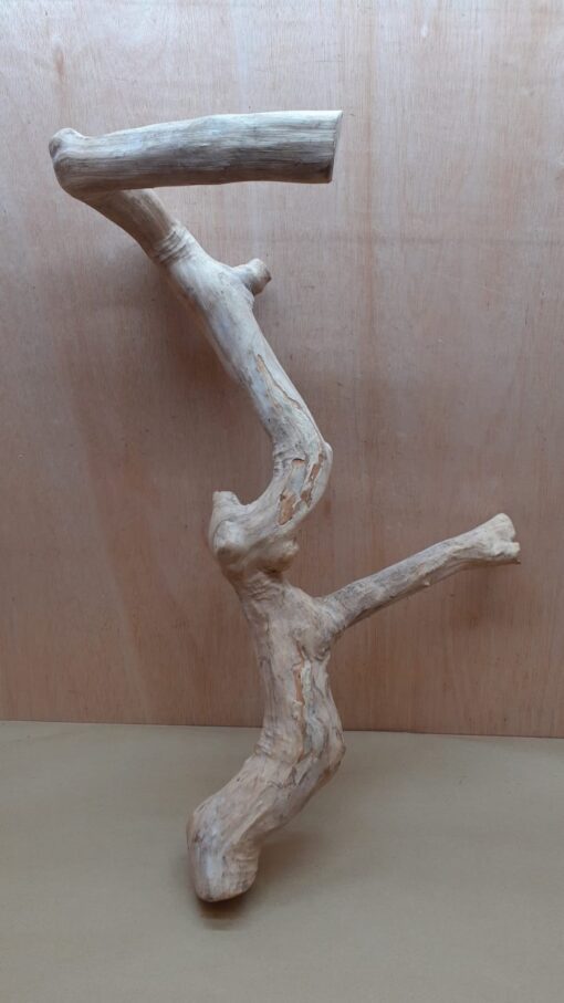Java Wood - Double Stem - XL 3 - Buzzard Reptile & Aquatics