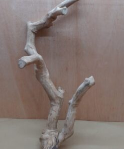 Java Wood - Double Stem - XL 9