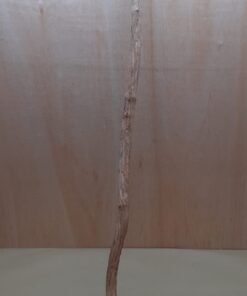 Straight Liana 2-3cm - Long - 2
