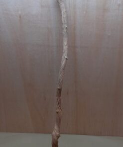 Straight Liana 2-3cm - Long - 5