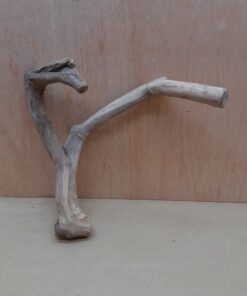 Java Wood - Double Stem - Small 3
