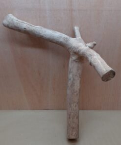 Java Wood - Double Stem - XL 7