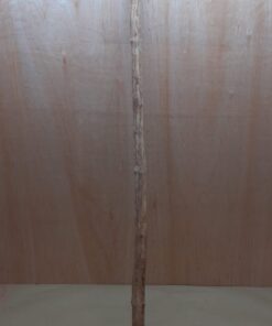 Straight Liana 2-3cm - Long - 5