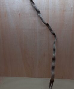 Monkey Ladder Liana - Long - 2