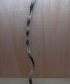 Monkey Ladder Liana - Long - 4