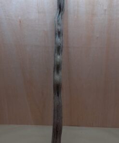 Monkey Ladder Liana - Long - 6