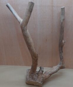 Java Wood - Double Stem - XL 9