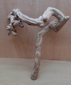 Java Wood - Double Stem - Medium 3