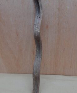 Monkey Ladder Liana - Short - 10