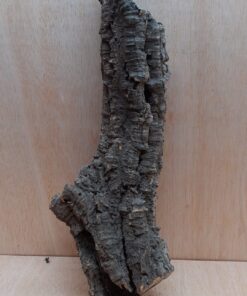 Small Cork Tube - 40-60cm - 1