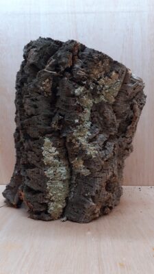 Large Cork Tube - Upto 40cm - 1