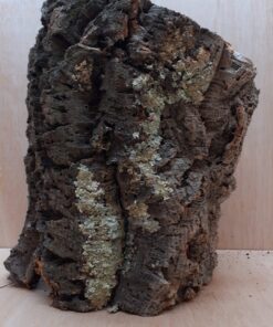 Large Cork Tube - Upto 40cm - 1