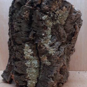 Large Cork Tube - Upto 40cm - 1