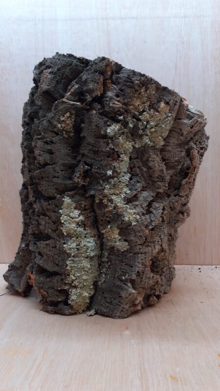 Large Cork Tube - Upto 40cm - 1