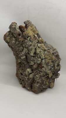 Large Cork Tube - 40-60cm - 10