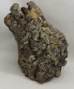 Large Cork Tube - 40-60cm - 10