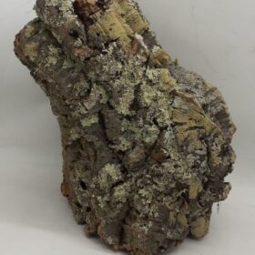 Large Cork Tube - 40-60cm - 10