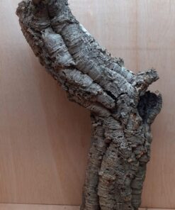 Large Cork Tube - 60-80cm - 10