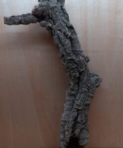 Medium Cork Tube - 80-110cm - 11