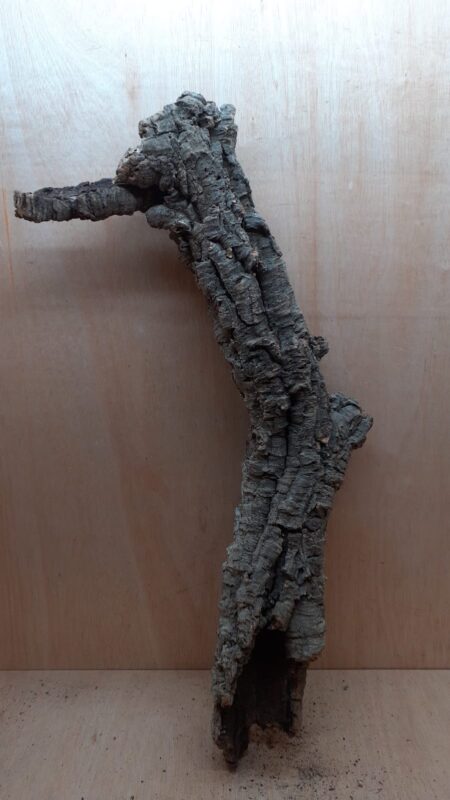 Medium Cork Tube - 80-110cm - 11