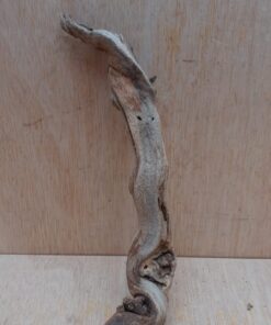 Sandblasted Grapevine - Small 11