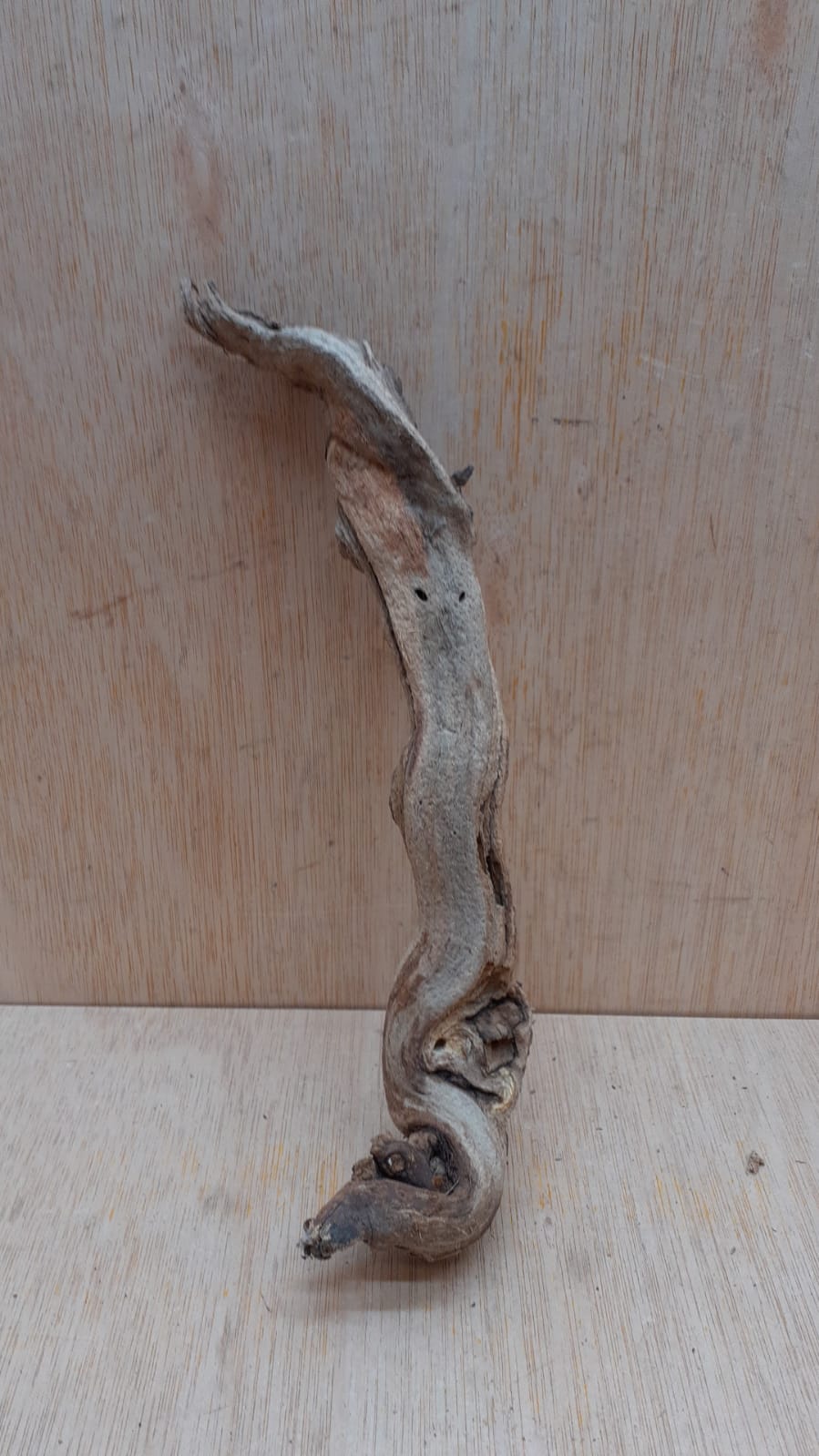 Sandblasted Grapevine - Small 11