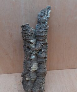 Small Cork Tube - Upto 40cm - 11